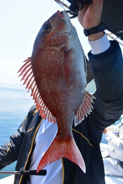 Fisherman Dreams DI 釣…