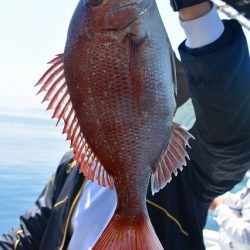 Fisherman Dreams DI 釣果