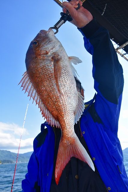 Fisherman Dreams DI 釣果