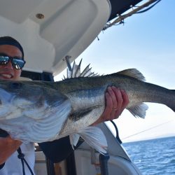 Fisherman Dreams DI 釣果