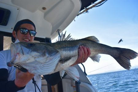 Fisherman Dreams DI 釣果