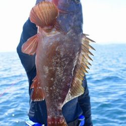 Fisherman Dreams DI 釣果