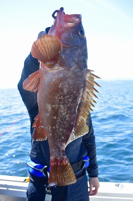 Fisherman Dreams DI 釣果