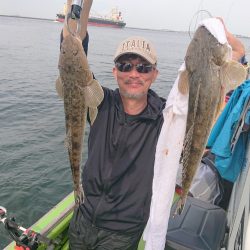 深川 吉野屋 釣果