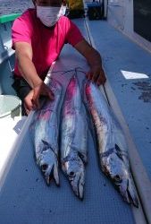 KONAYAーMARU(こなや丸) 釣果