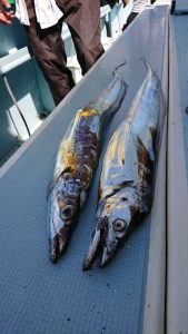 KONAYAーMARU(こなや丸) 釣果