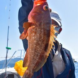 Fisherman Dreams DI 釣果