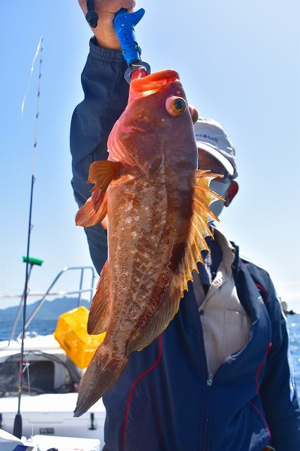 Fisherman Dreams DI 釣果