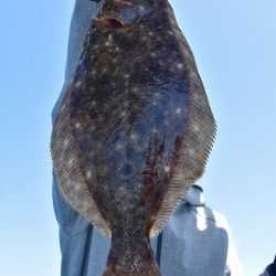 Fisherman Dreams DI 釣果