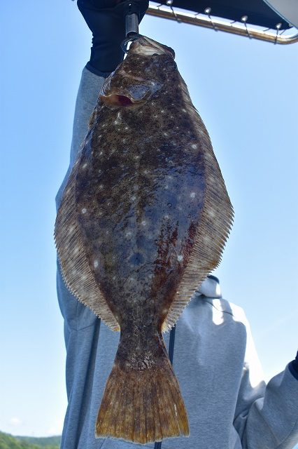 Fisherman Dreams DI 釣果