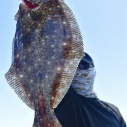 Fisherman Dreams DI 釣果