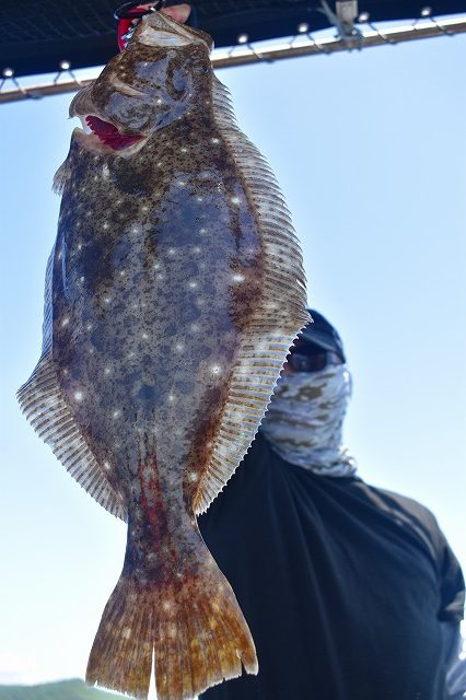 Fisherman Dreams DI 釣果