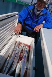 KONAYAーMARU(こなや丸) 釣果