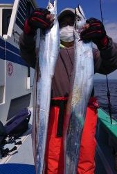 KONAYAーMARU(こなや丸) 釣果