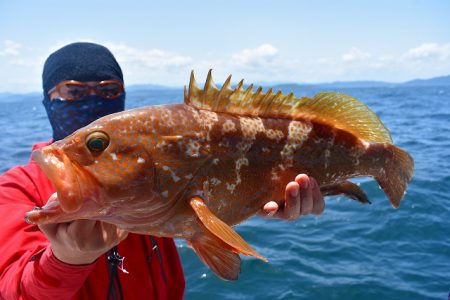 Fisherman Dreams DI 釣果