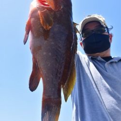 Fisherman Dreams DI 釣果