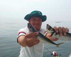 フィッシング太陽 釣果