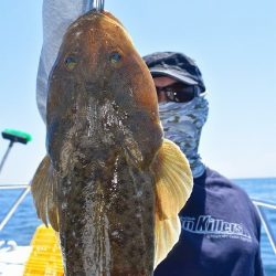 Fisherman Dreams DI 釣果