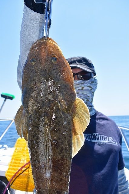 Fisherman Dreams DI 釣果