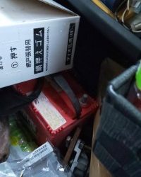 フィッシング太陽 釣果