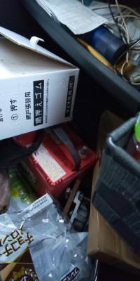 フィッシング太陽 釣果