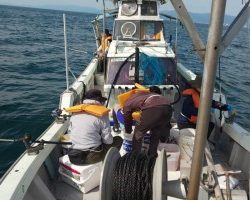 フィッシング太陽 釣果