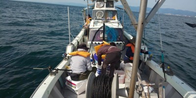 フィッシング太陽 釣果