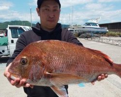 フィッシング太陽 釣果