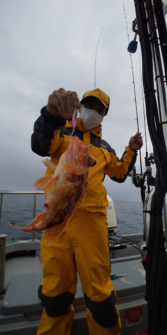 オーシャンズ 京都 釣果