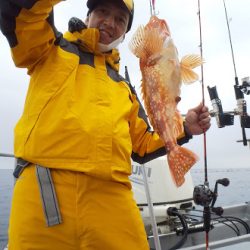 オーシャンズ 京都 釣果