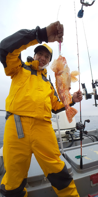 オーシャンズ 京都 釣果