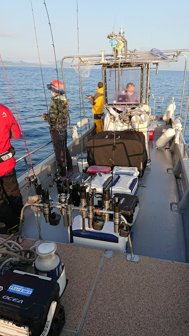オーシャンズ　京都 釣果