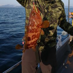 オーシャンズ 京都 釣果