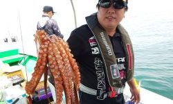 恵比寿丸(兵庫) 釣果