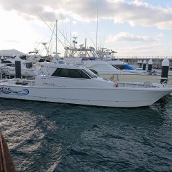 フィッシングボートACE(エース) 釣果