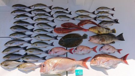 フィッシングボートACE（エース） 釣果