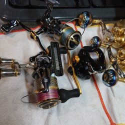 フィッシングボートACE(エース) 釣果