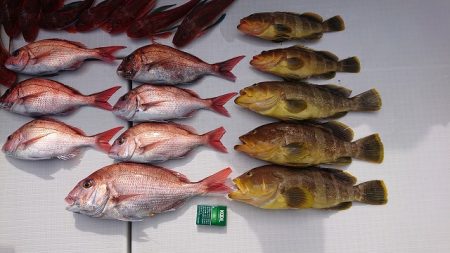 フィッシングボートACE(エース) 釣果