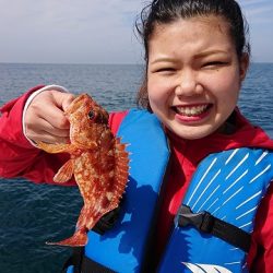 フィッシングボートACE（エース） 釣果