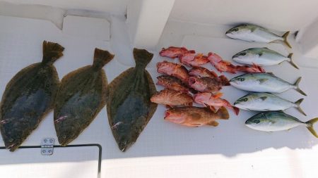 フィッシングボートACE（エース） 釣果