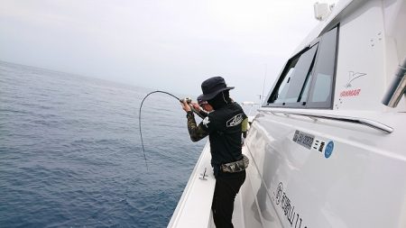 フィッシングボートACE(エース) 釣果