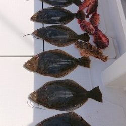 フィッシングボートACE（エース） 釣果