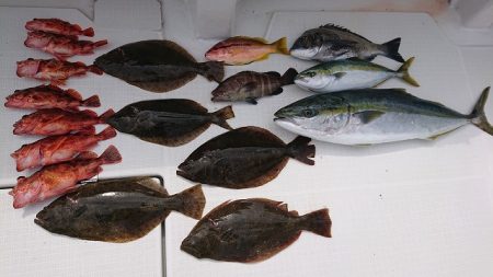 フィッシングボートACE（エース） 釣果