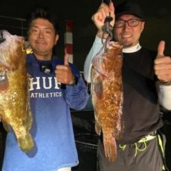 シーマジカル 釣果