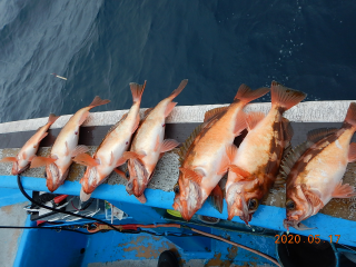 作十丸 釣果