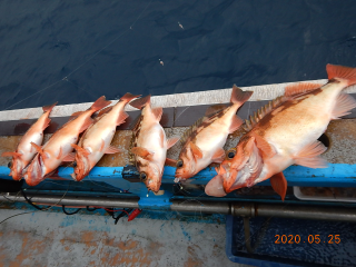 作十丸 釣果
