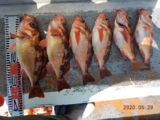 作十丸 釣果