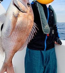 フィシングボートAir(エアー) 釣果