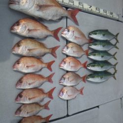磯部釣船 直栄丸 釣果