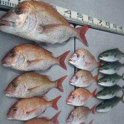 磯部釣船 直栄丸 釣果